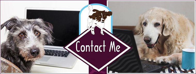 site header